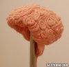 brain-hat-13729-1297974969-20.jpg