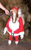 horse_santa.jpg