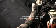 elyn2.png