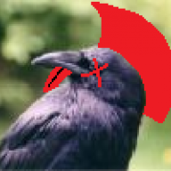 BirdPunk