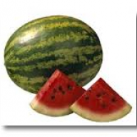 watermelon_king_:]