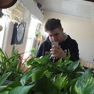 Gr1zzjoey