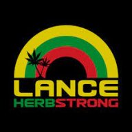 Lance_Herbstrong