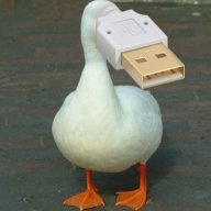 Sduck200