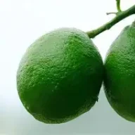 2Juicy_Limes