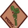 Pedro_20