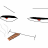fibs1buschwk